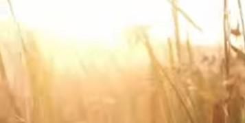 𝄞 🔋 讓心被音樂重新接住！10分鐘「極光頻率」平衡身心，找回柔軟的自己，擺脫說不出的疲憊