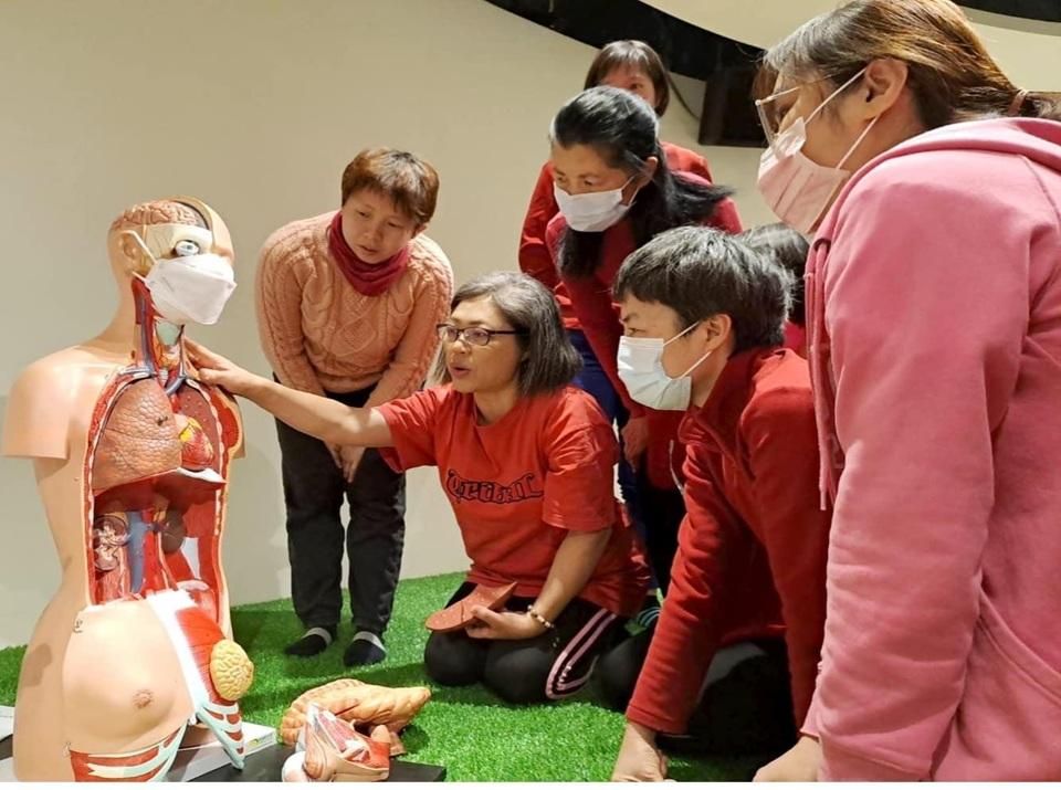 《花絮》修復系列2–修復地圖：心、肝、脾