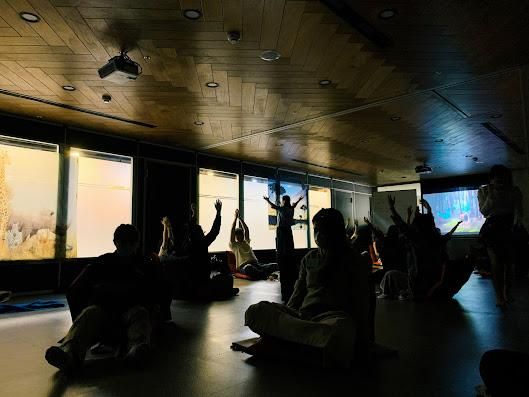 大地功法(含大地紮根)【每月一次的深度課程】V.S.【每週一次的連續課程】有什麼不一樣呢？