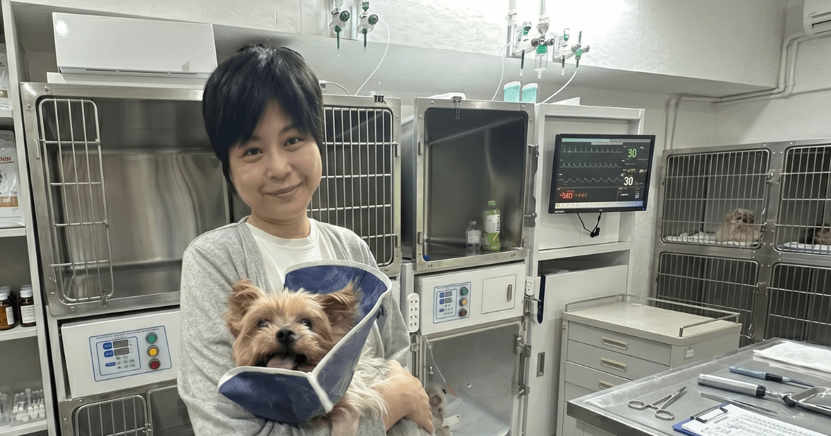 那晚38.8度救了牠：一隻14歲老犬如何靠居家健康監測逃過急性胰臟炎