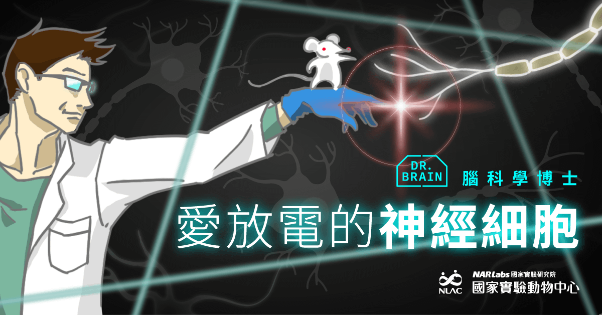 愛放電的神經細胞