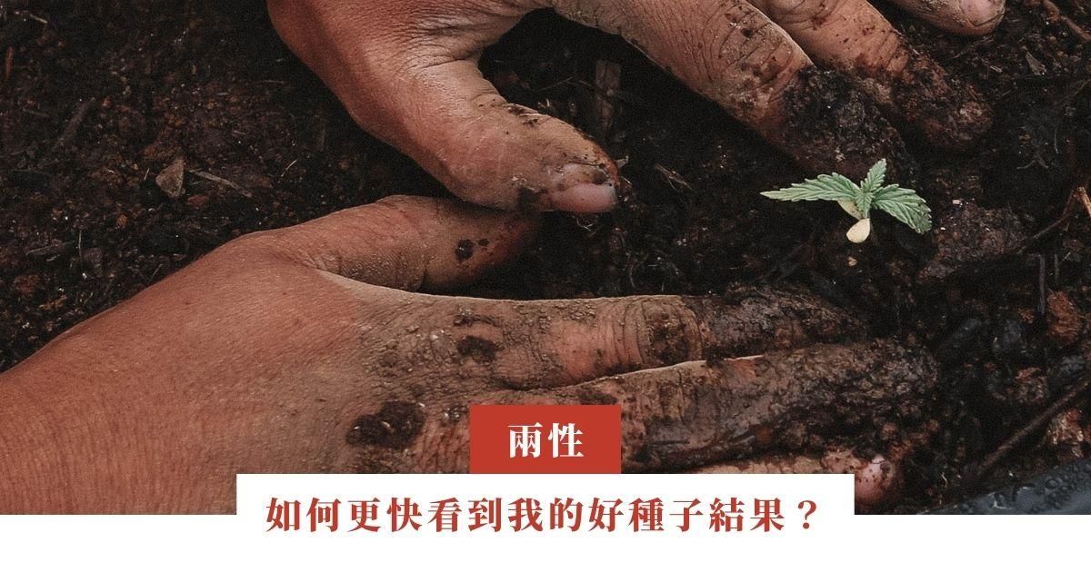如何更快看到我的好種子結果？