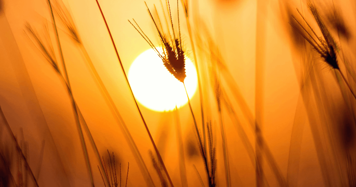 我願意就是現在