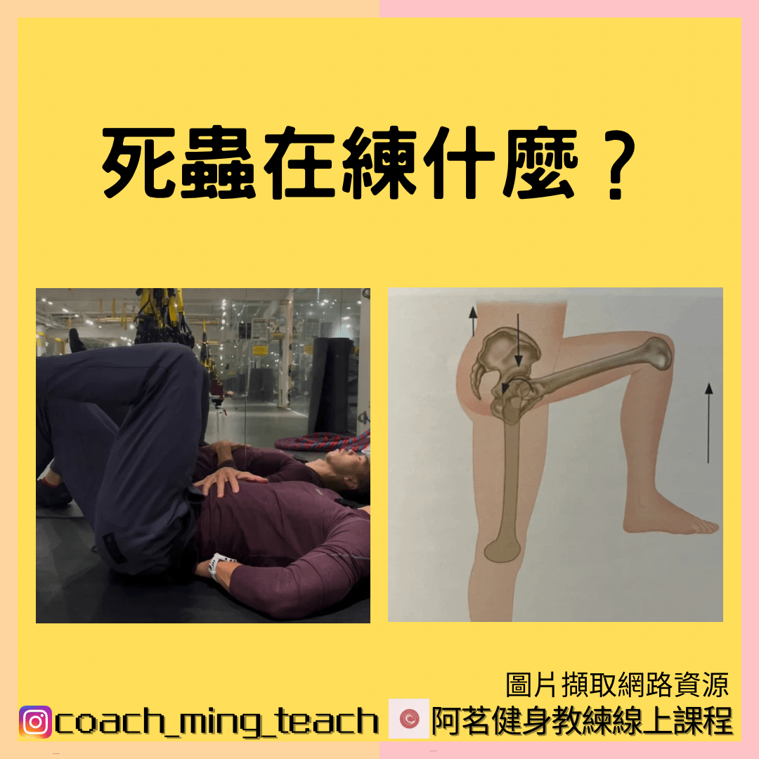 『死蟲在練什麼？』