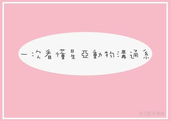 『我想學動物溝通，該上哪一堂課呢？』