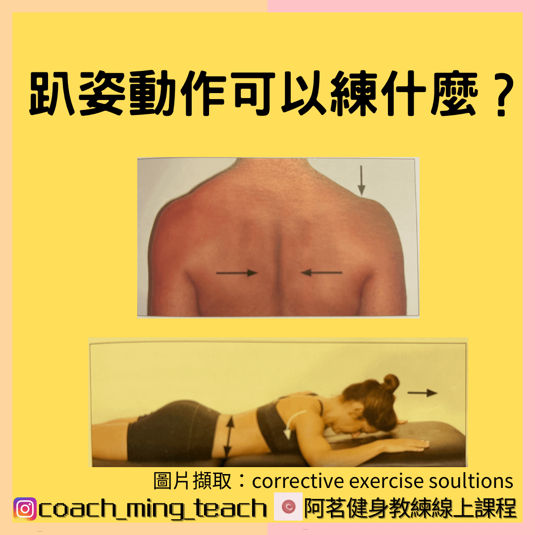 『趴姿動作可以練什麼？』