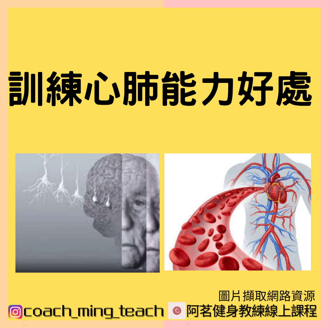 『訓練心肺能力的好處』