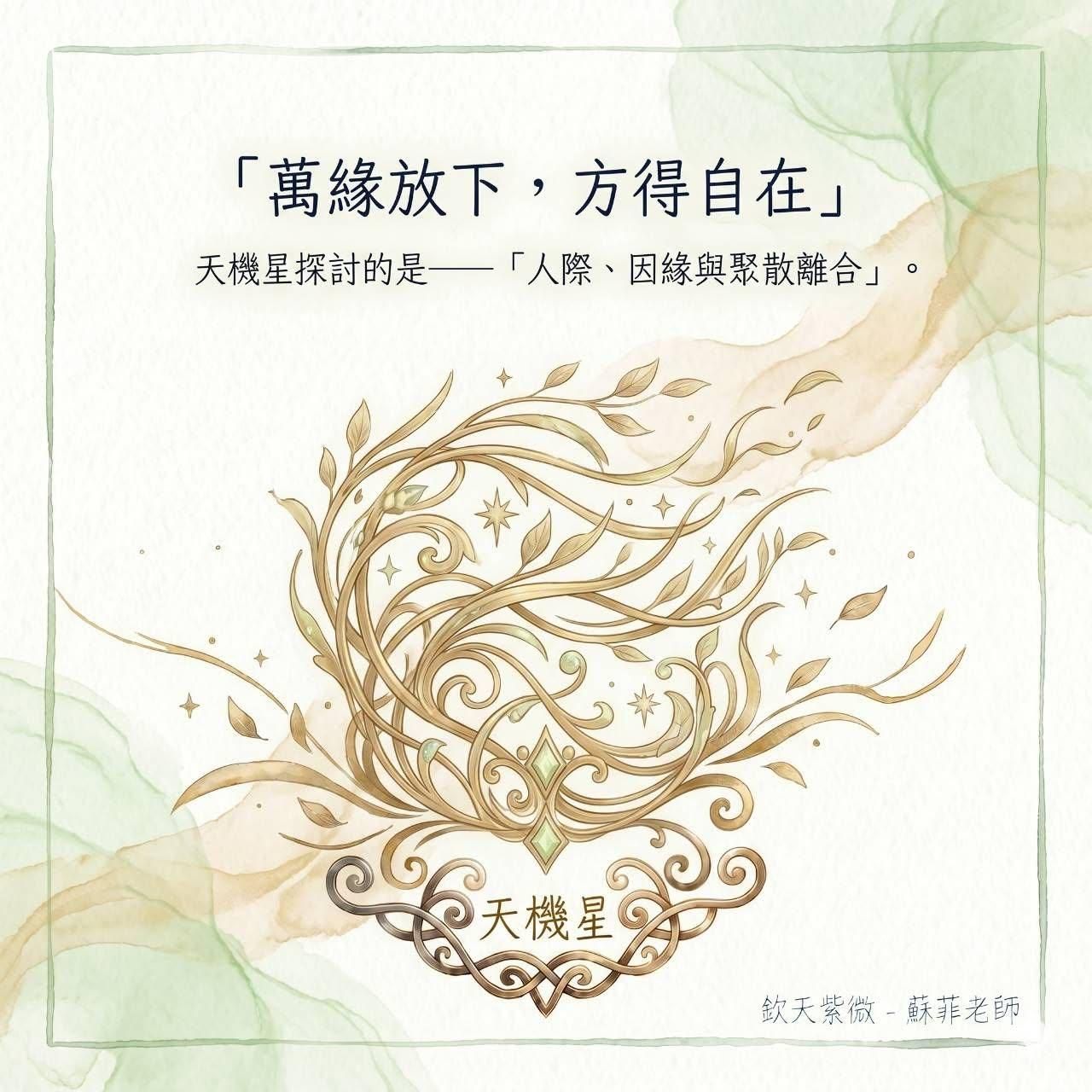 天機星-萬緣放下，方得真正的自在