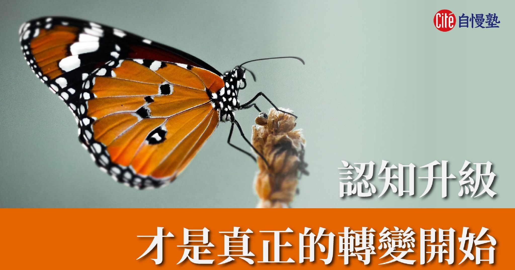 從毛毛蟲到蝴蝶：認知升級，才是真正的轉變開始