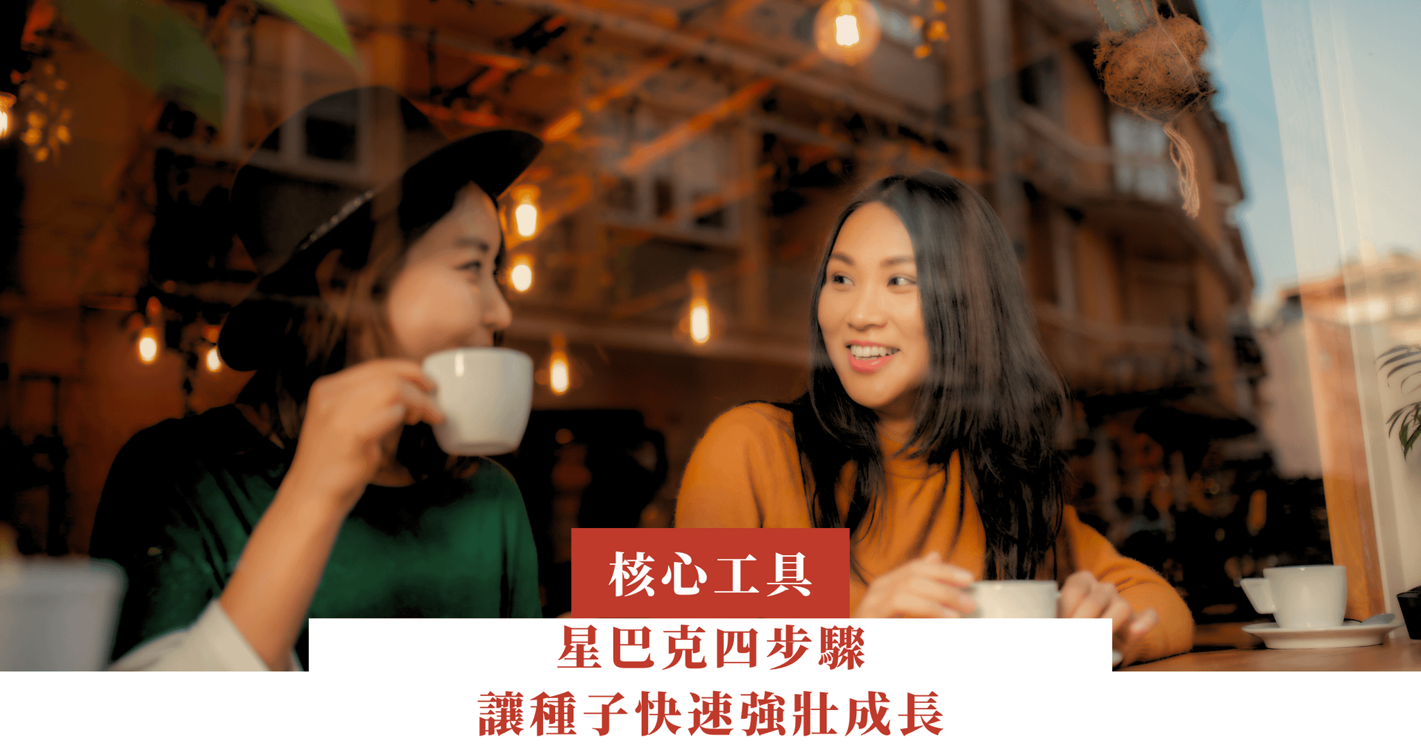 四步驟 — 讓種子快速強壯成長