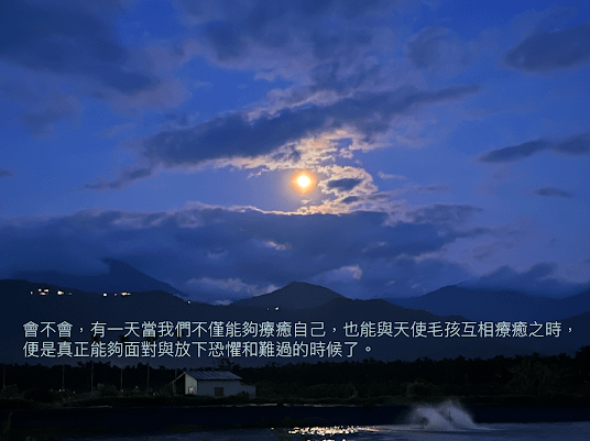 天使毛孩慢慢飛 課程資訊