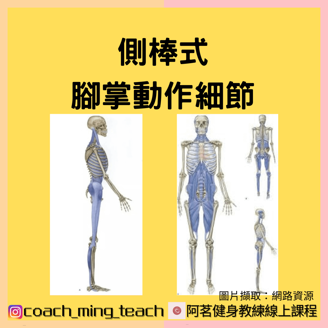 『側棒式之腳掌動作細節』