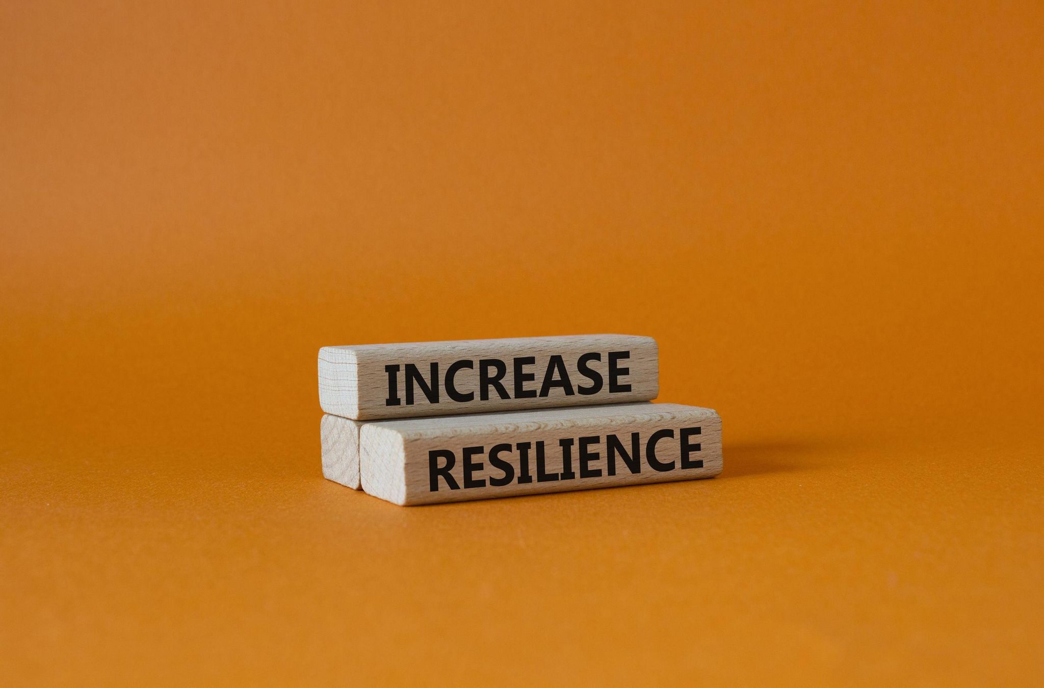 韌性供應鏈：組織經營篇