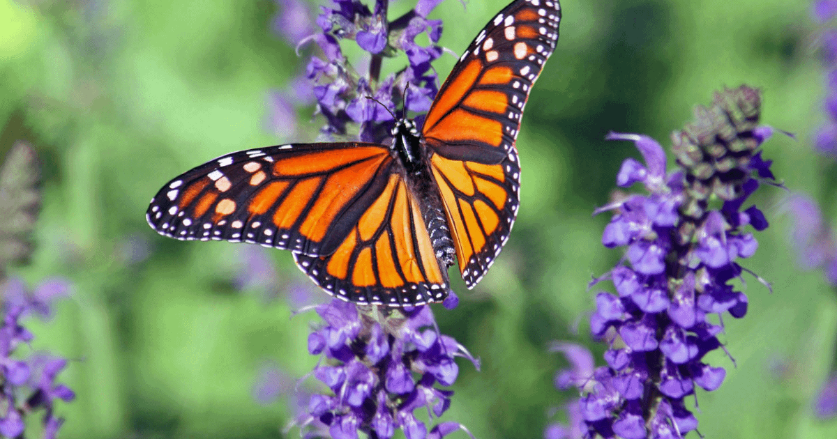 成為更優版本的自己