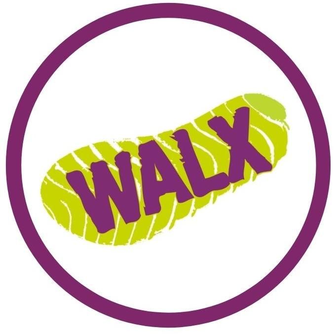 WALX Academy 台灣
