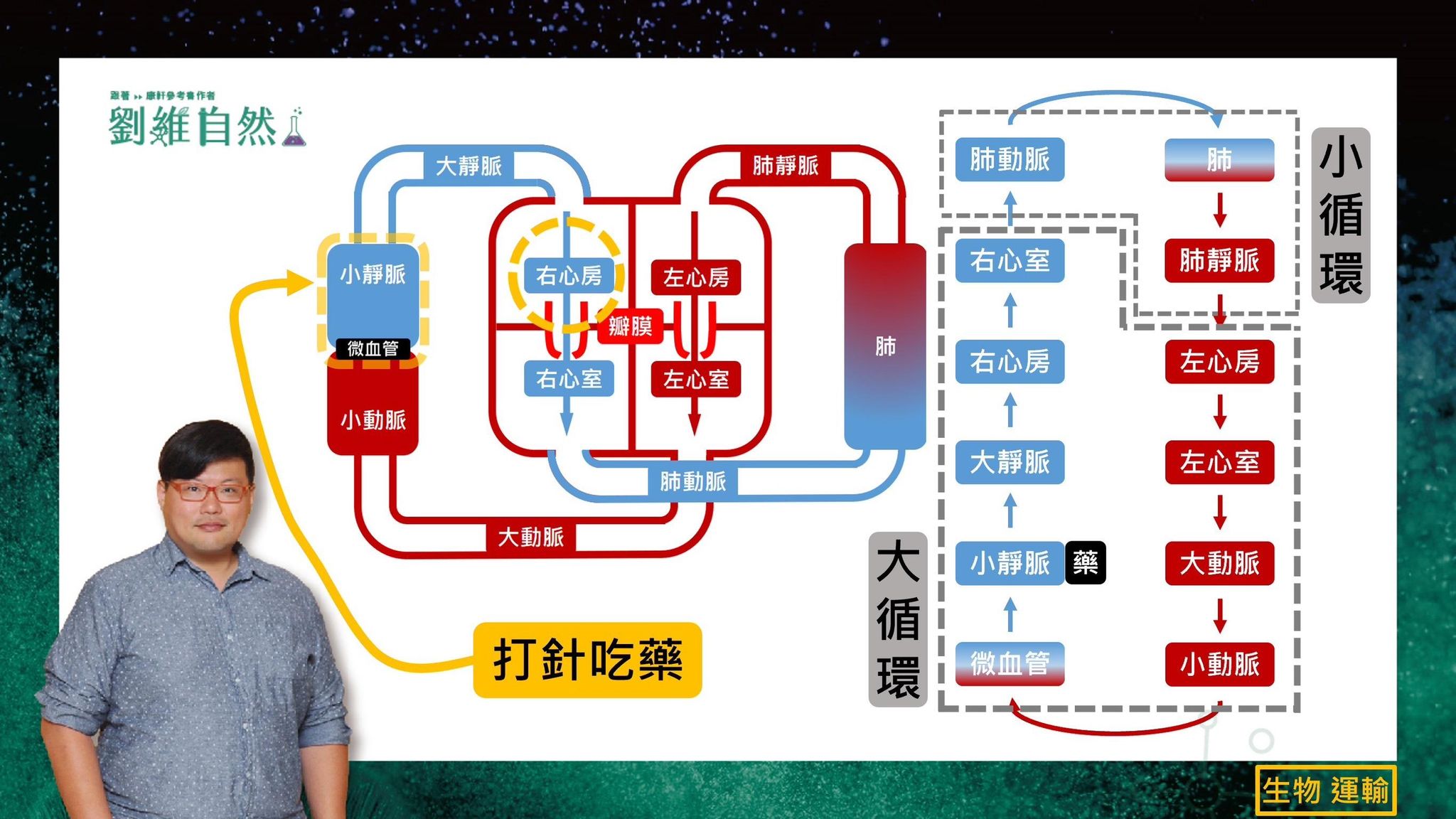 2bb9dba8-d030-4078-9aa6-d86696177c41