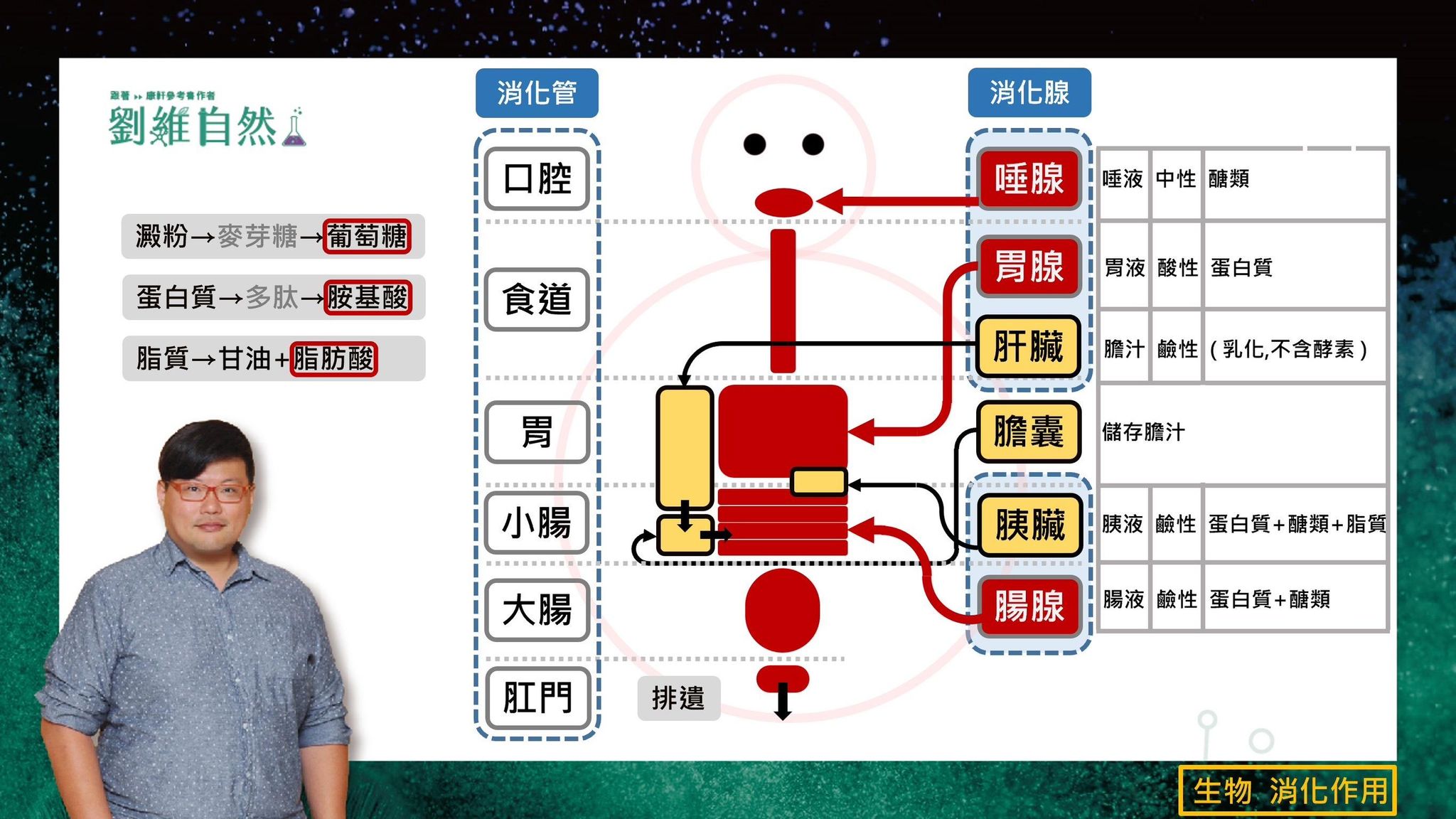 30fc4d76-aca0-4081-aea9-5a55c65eb194