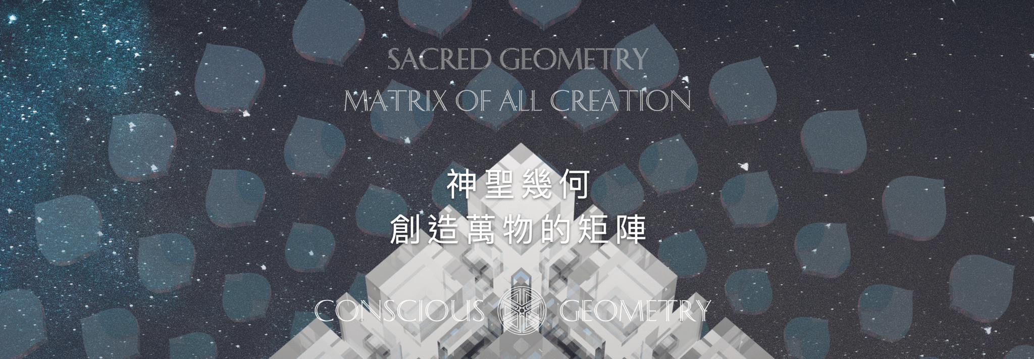 539b241a-aee1-4c1b-a938-848af0d5b91c