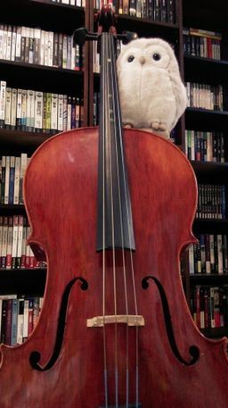 翁裕庭（黃羅）