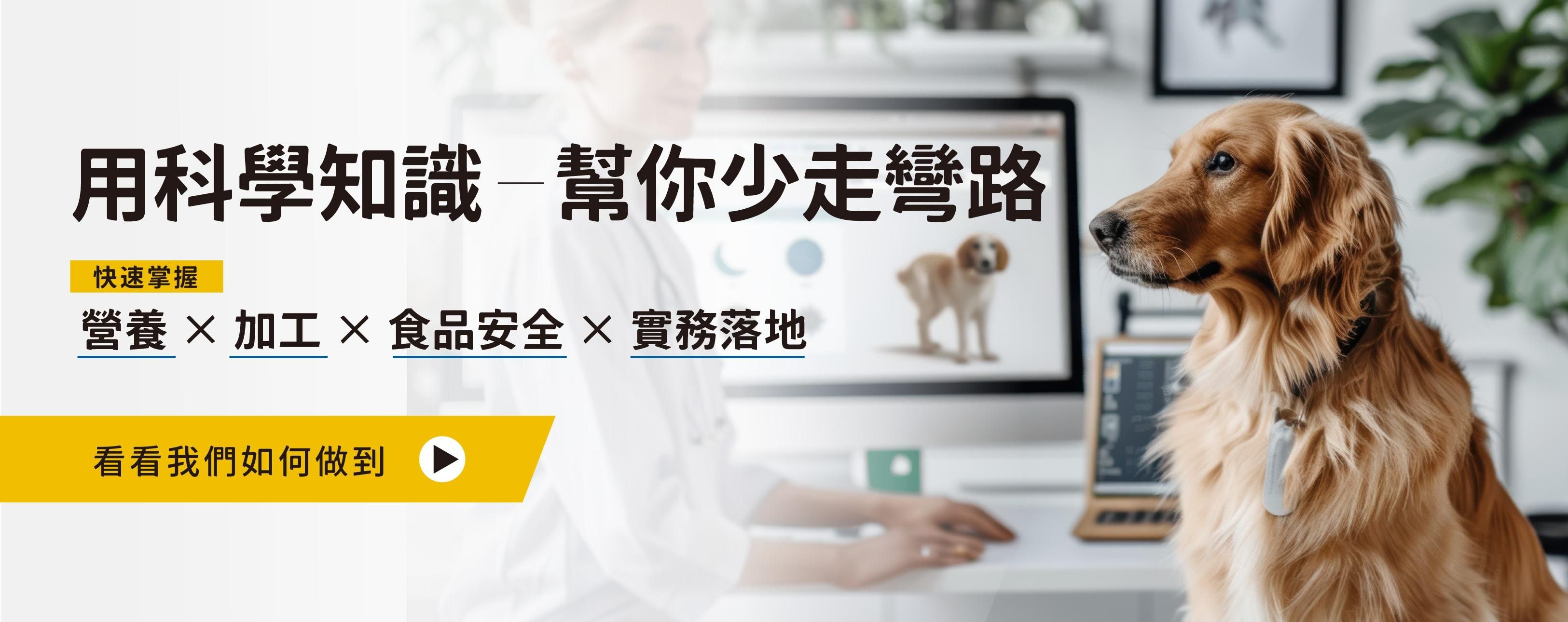 sb5yUVYSx80qeKAENiXsd