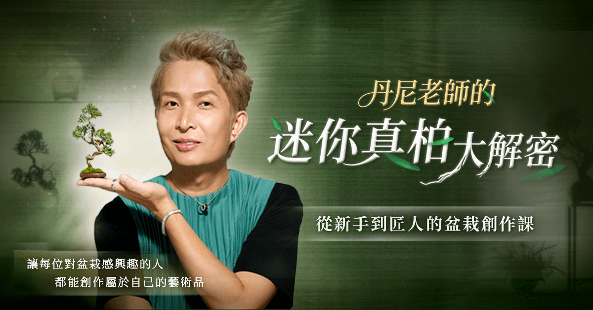 丹尼老師的迷你真柏大解密