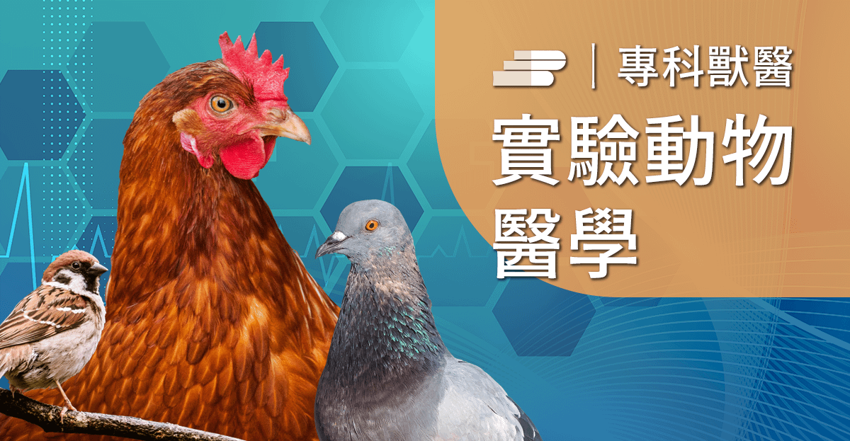 鳥禽類動物常見疾病