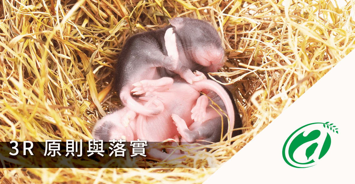 [線上課程]動物實驗3R原則與落實