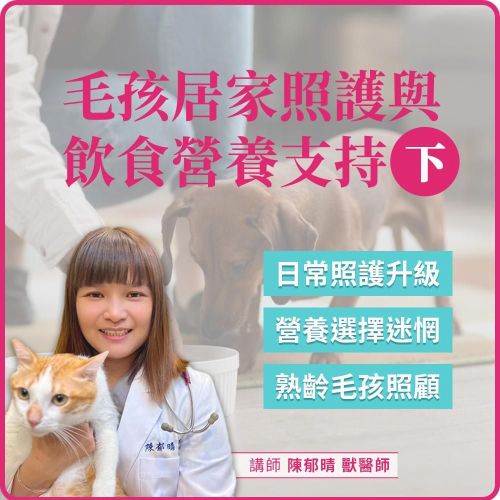 4/24(五) 19:00 毛孩居家照護與飲食營養支持(下)