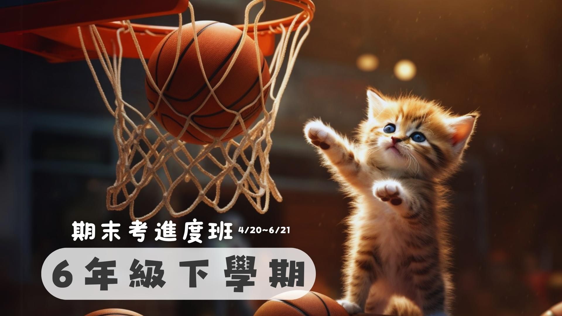 國小數學(6下)第11~19周(期末考)進度班