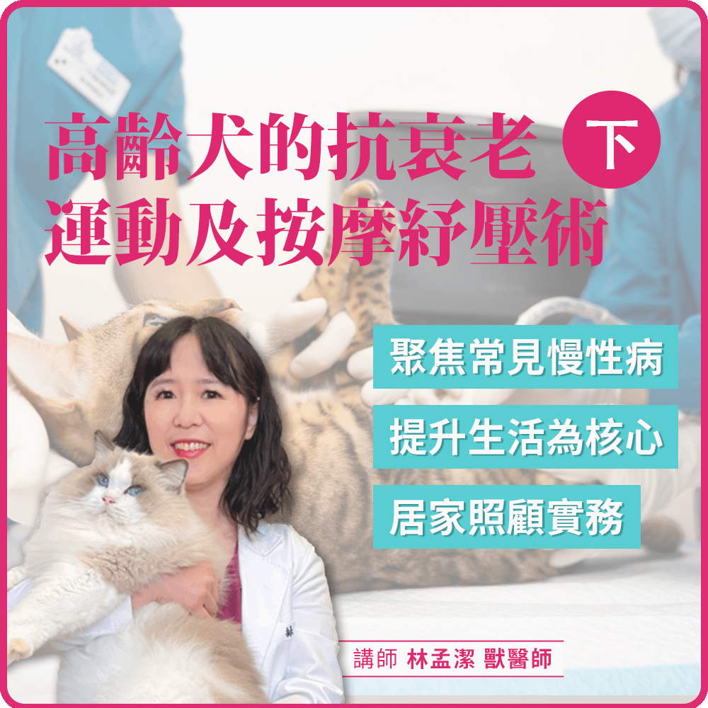 4/27(一) 19:30 高齡犬的抗衰老運動及按摩紓壓術(下)