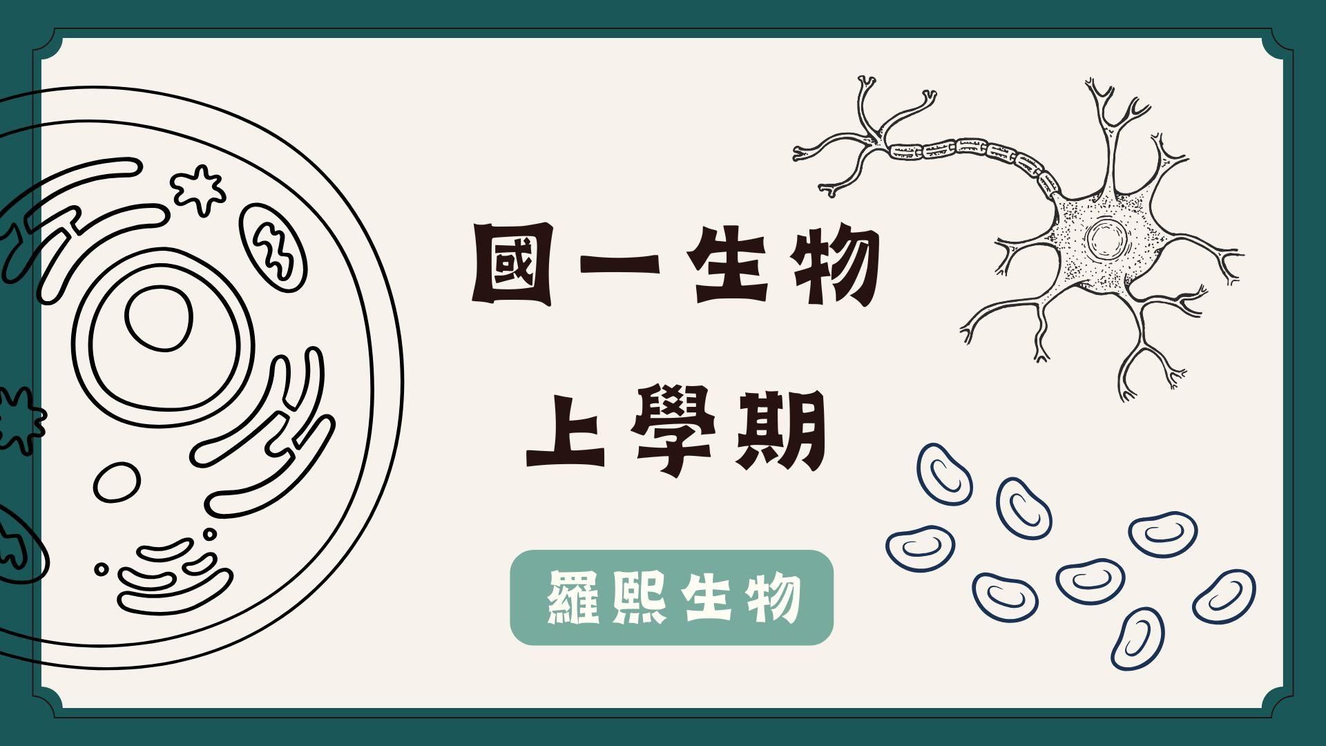 國一生物/108課綱/上學期（全）