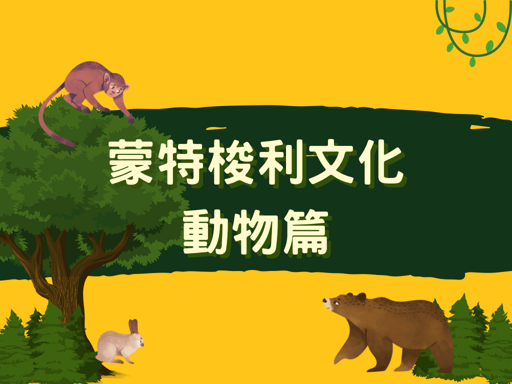 蒙特梭利 - 文化｜動物