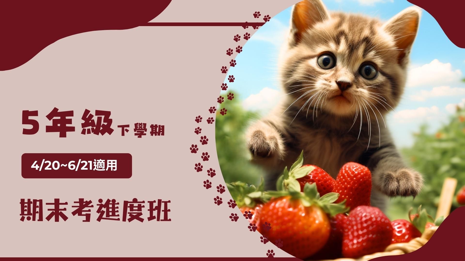 國小數學(5下)第11~19周(期末考)進度班