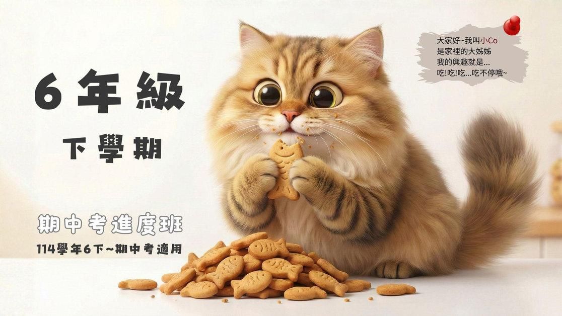 114年6下,共08周期中考進度班(送寒假進度)