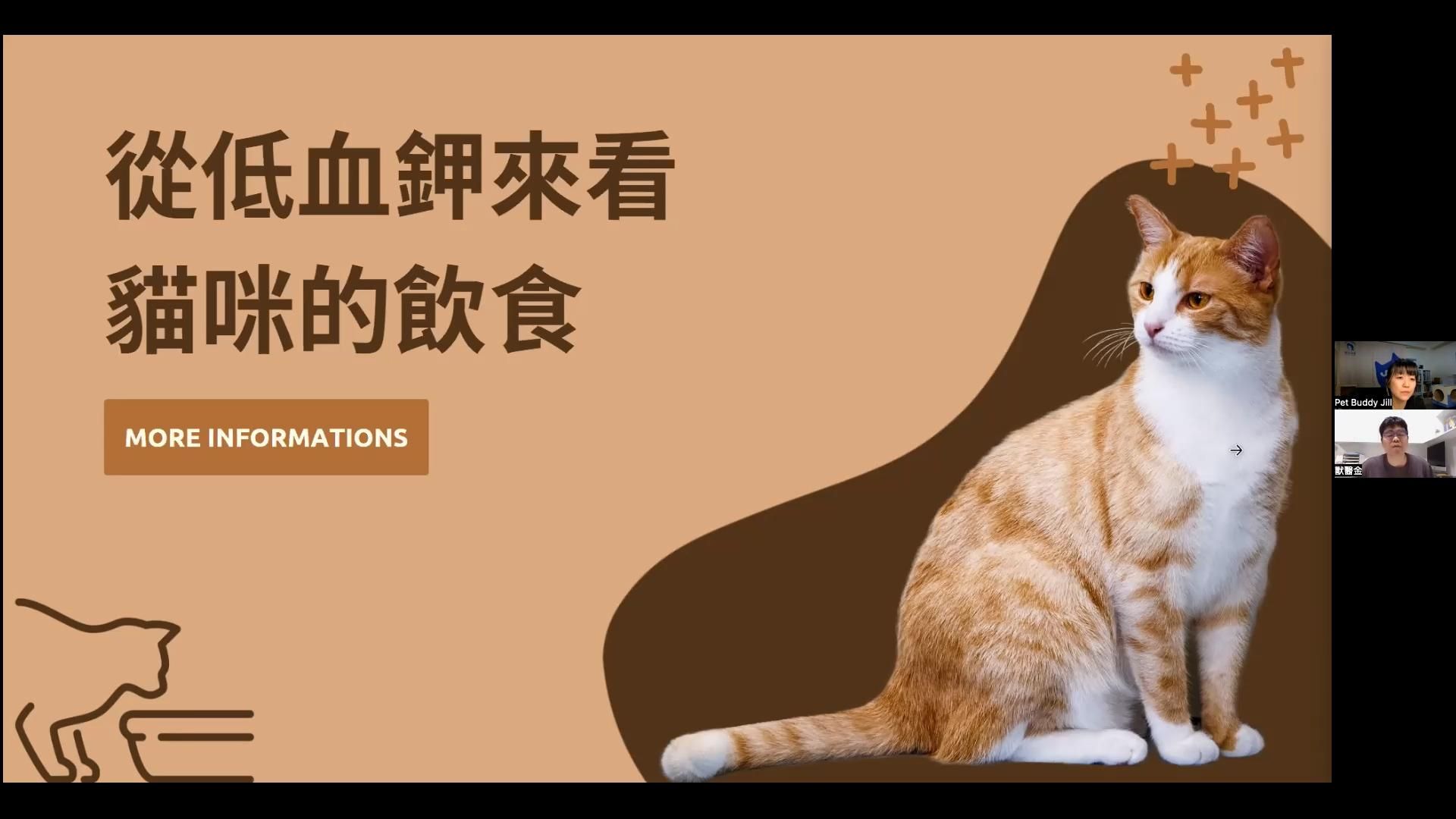 吉兒 X 金醫師｜不懂營養學，也能安心選貓食