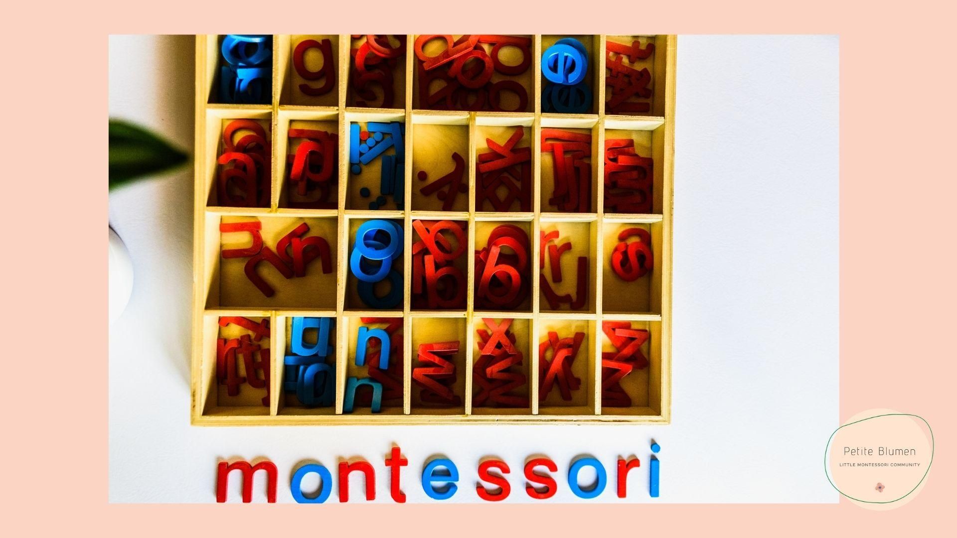 CASA Online 線上蒙特梭利親子空間