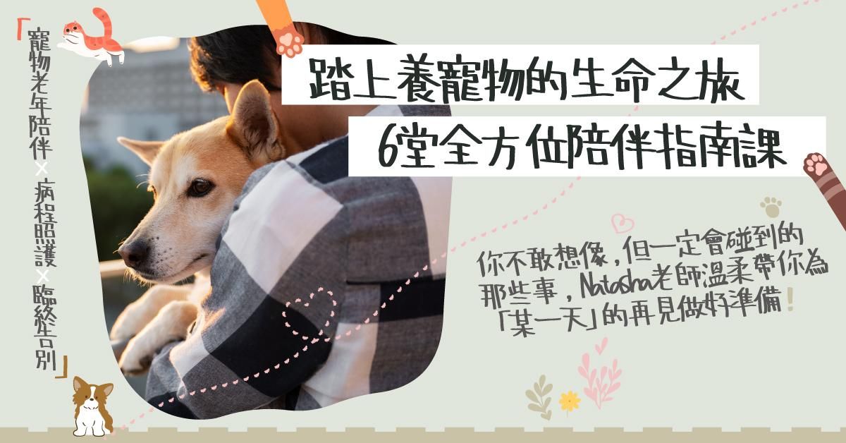 踏上養寵物的生命之旅:6堂全方位陪伴指南課