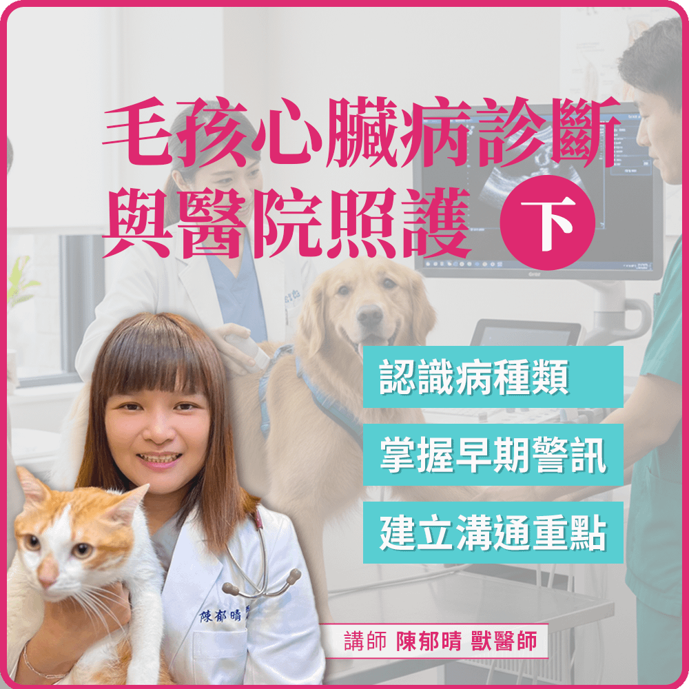 2/26(五) 19:00 毛孩心臟病診斷與醫院照護(下)