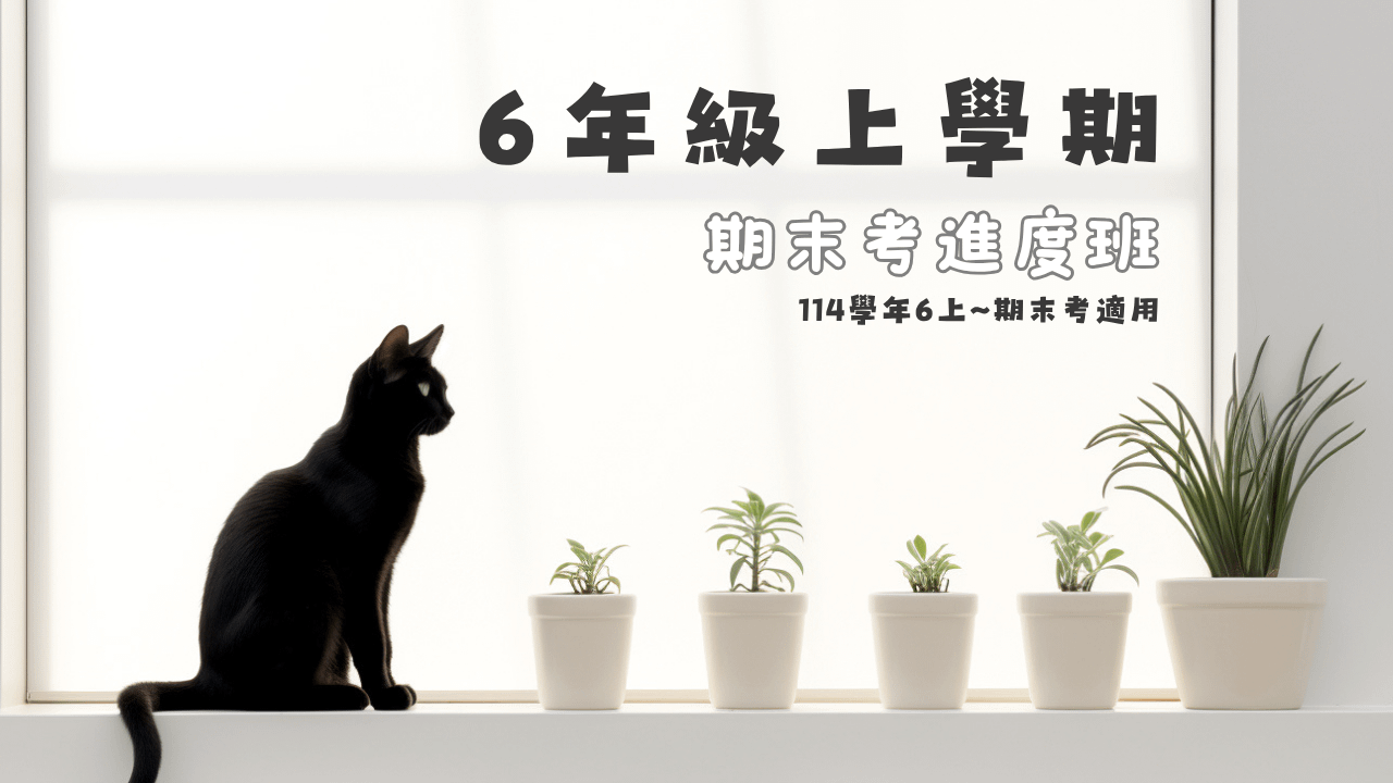 114年(6上)第11~20周(期末考)進度班-國小數學