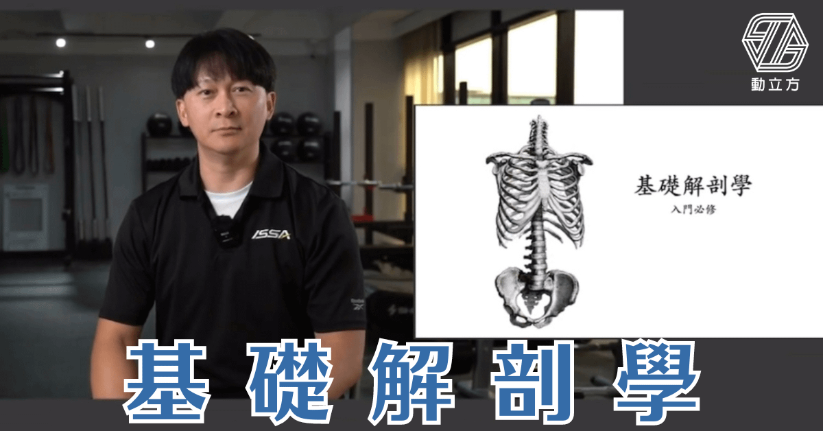 動立方基礎解剖學