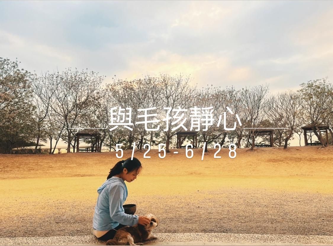 與毛孩靜心
