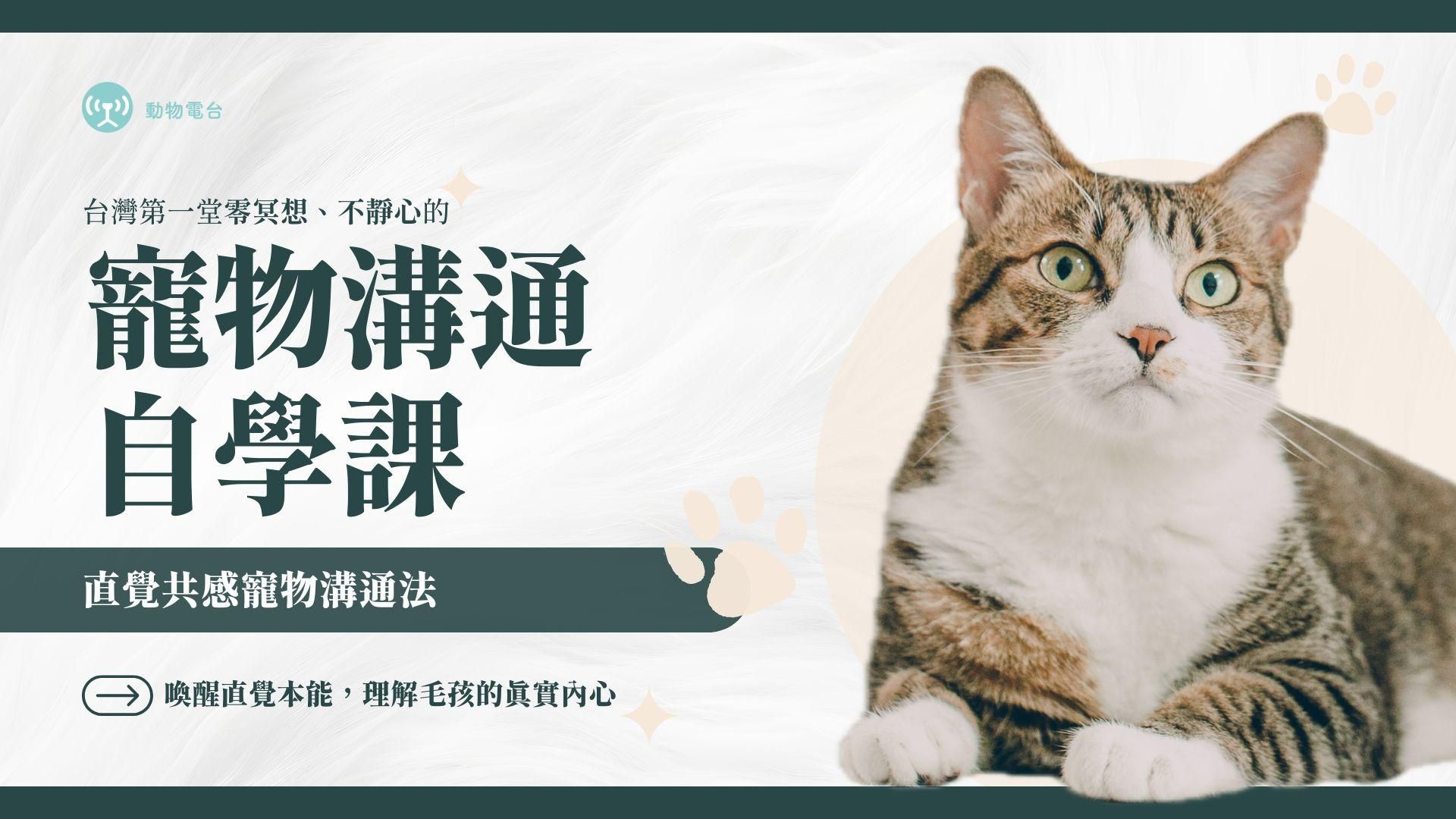 寵物溝通自學課｜直覺共感寵物溝通法