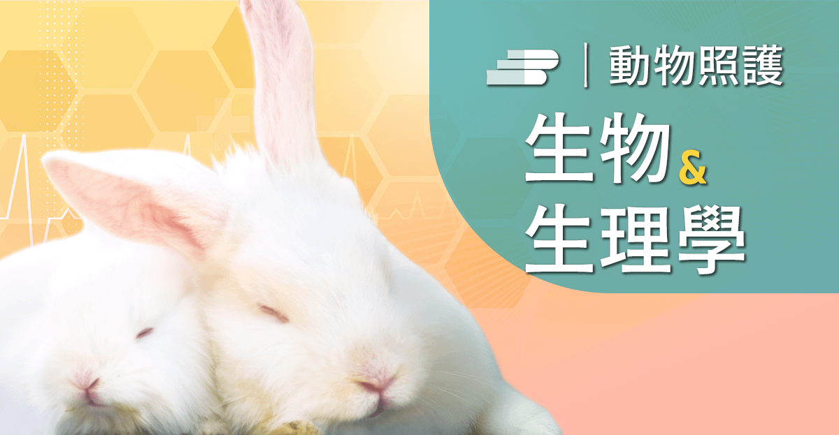 實驗兔生物、生理及行為學