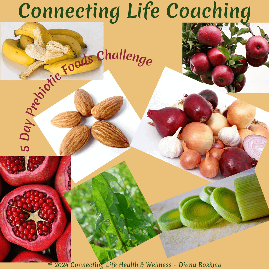5 Day Prebiotic Foods Challenge