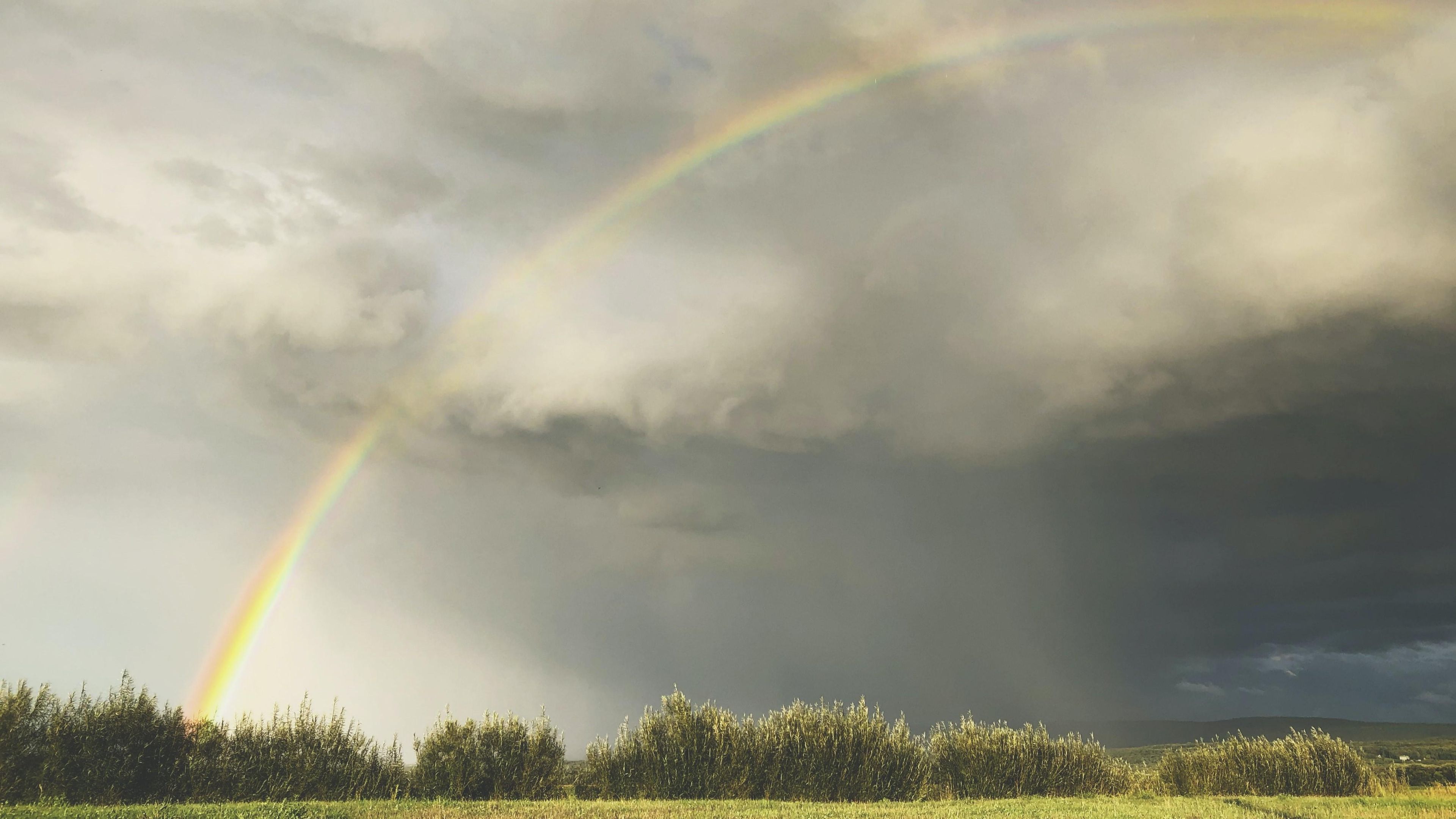 免費看1.5小時 - 畫畫看你的內心 (中日翻譯）