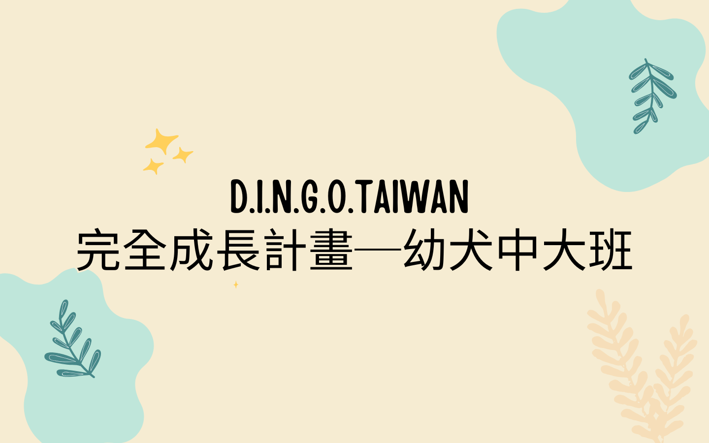 完全成長計畫-幼犬中大班