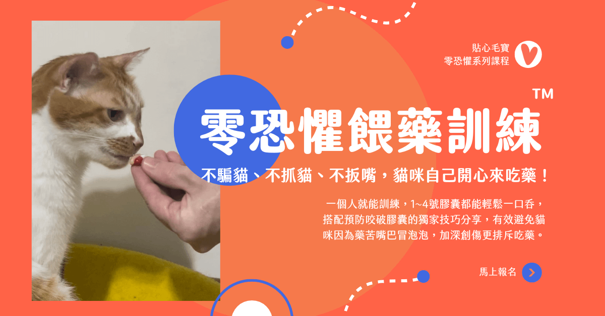 貼心毛寶｜零恐懼餵藥訓練™