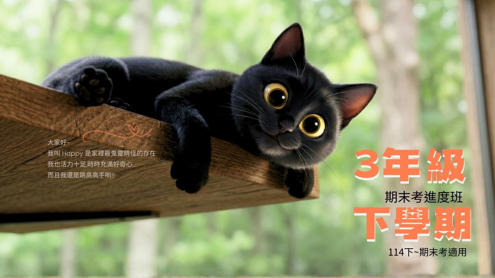 114年3下,共10周期末考進度班-喵叫授國小數學