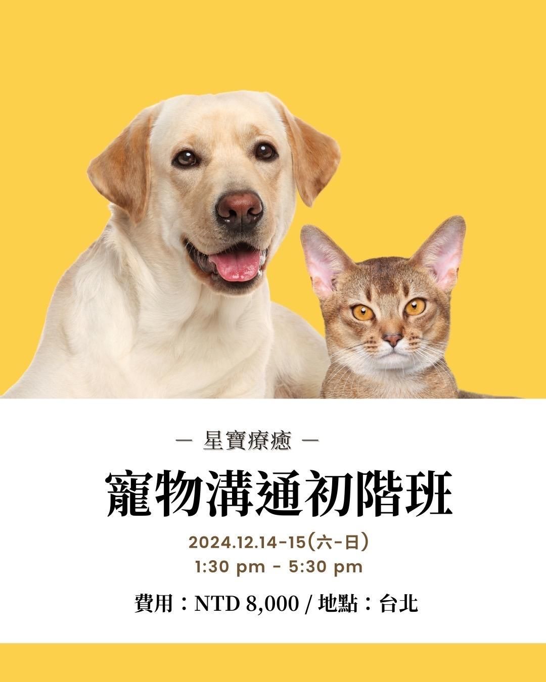 動物溝通初階＿實體小班2日課程