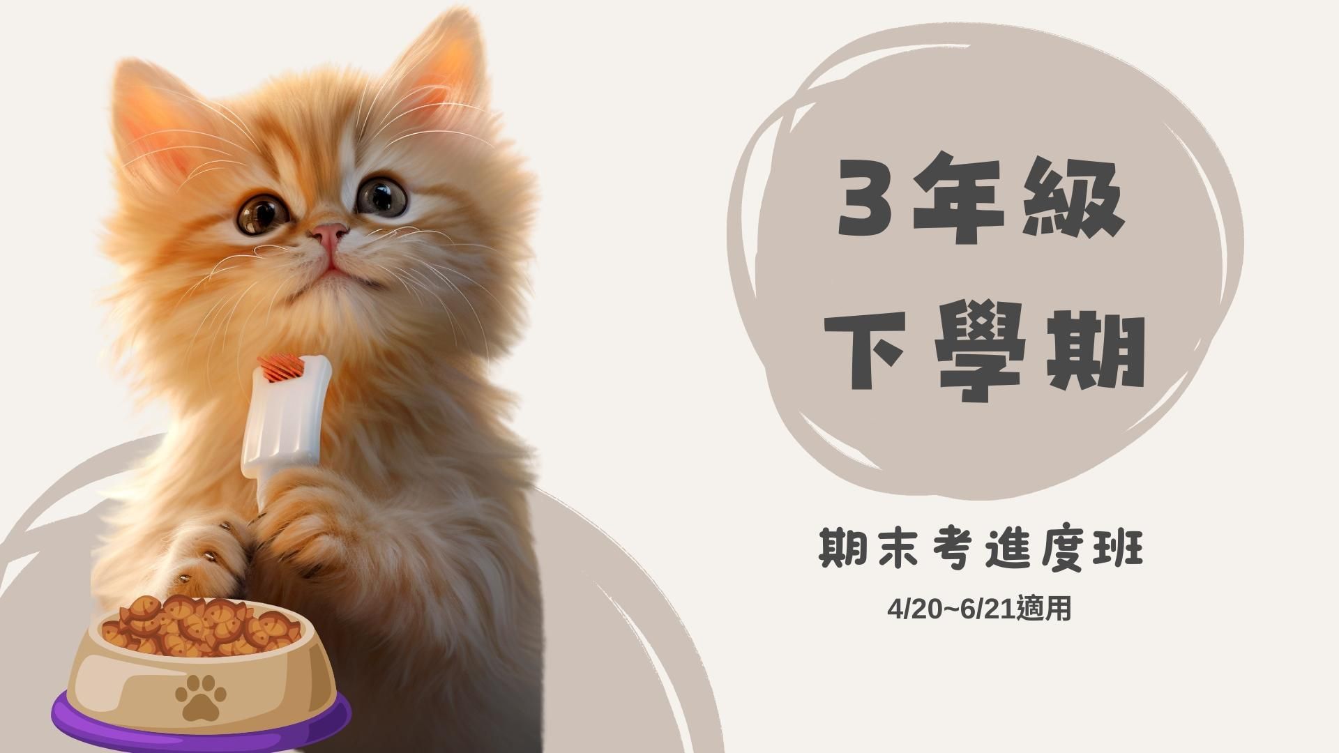 國小數學(3下)第11~19周(期末考)進度班